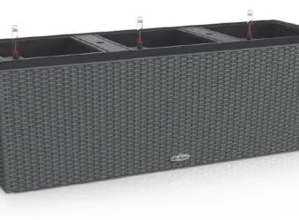 Trio länglicher Blumentopf